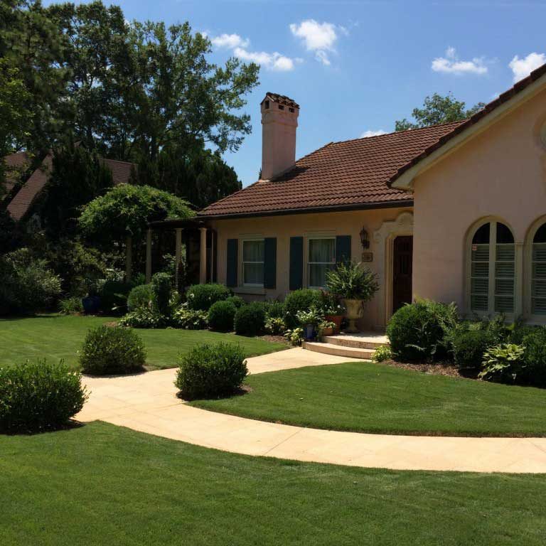 professional lawn care